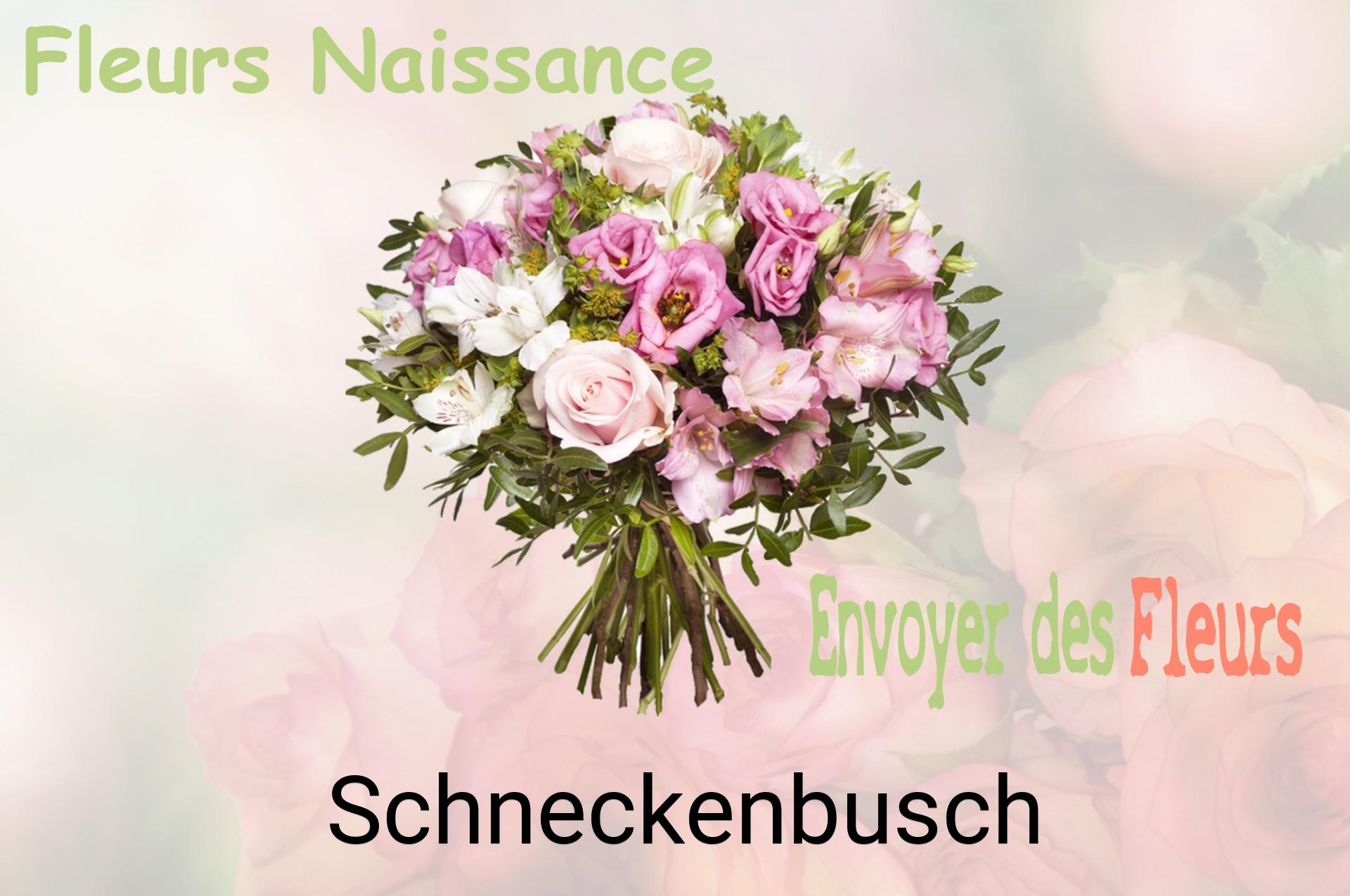 Bouquet de fleurs de naissance livré à Schneckenbusch
